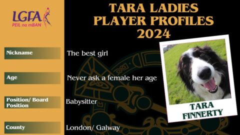 Tara Ladies Profiles 2024